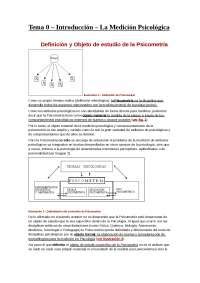 Tema 0 Introducción La Medición Psicológica Definició Apuntes de