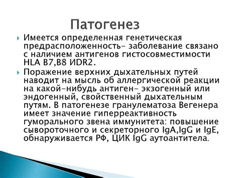 Гранулематоз Вегенера - презентация онлайн