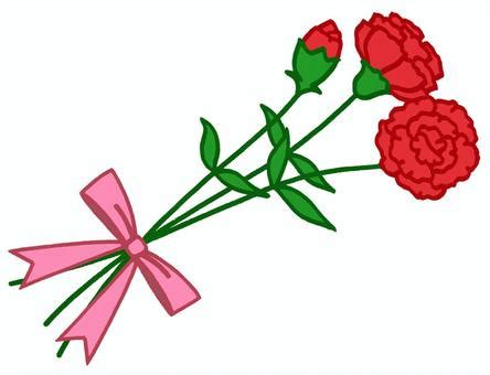 Free Vectors | Carnation on Mother's Day