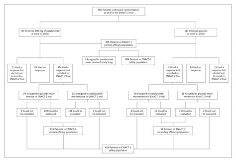 Natalizumab Induction And Maintenance Therapy For Crohn S Disease