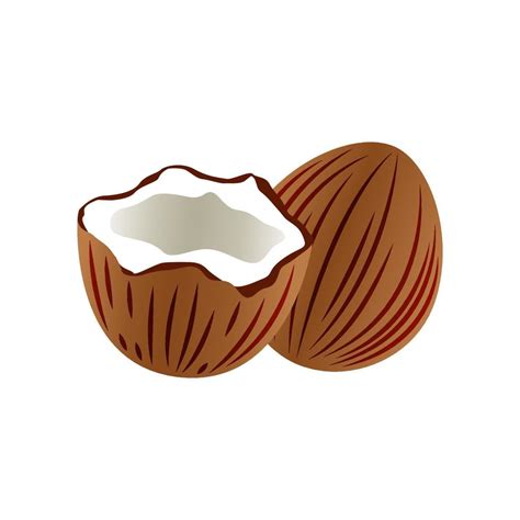 clip art of coconut shell with cartoon design 5947883 Vector Art at Vecteezy