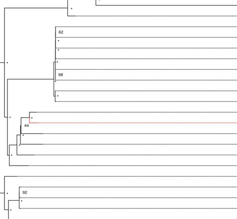 The Best Maximum Likelihood Ml Phylogram Inferred From Complete Cp