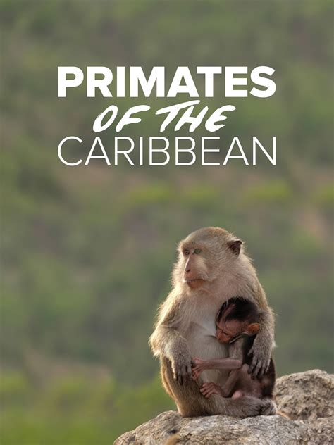 Watch Primates of the Caribbean | Prime Video