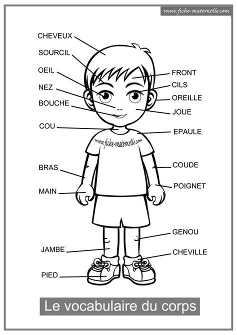 Le Sch Ma Corporel En Maternelle