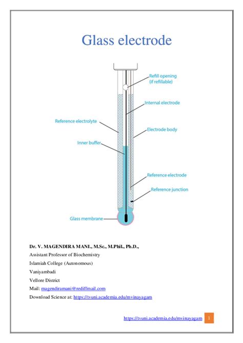 (PDF) Glass electrode.pdf