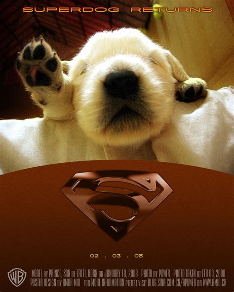 Superdog Returns Poster 1 by amormio on DeviantArt