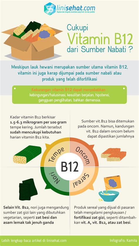 Fungsi Vitamin B12 Riset