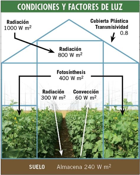 Invernaderos Funcionamiento Y Dise O Quizizz