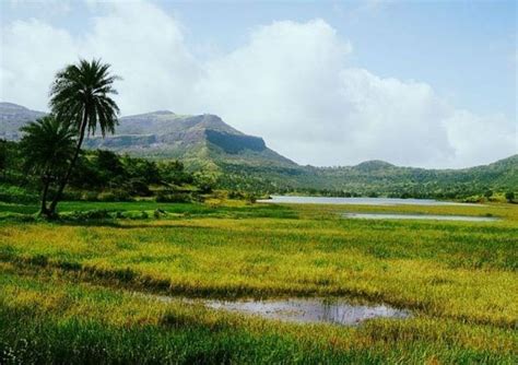 8 Maharashtra Hiking Trails That Will Exhilarate The Trekker In You