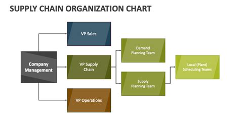 Supply Chain Organization Chart Powerpoint And Google Slides Template