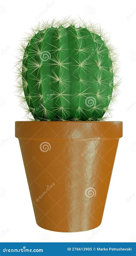 Cactus In Clay Pot Isolated On White Background High Quality Details