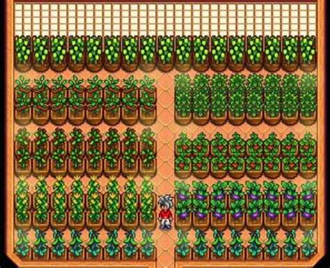 Stardew Valley Shed Guide Sdew Hq