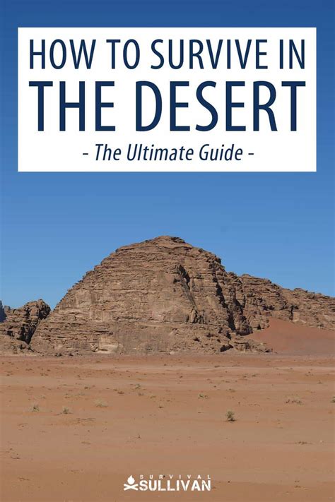 How To Survive In The Desert The Ultimate Guide Survival Sullivan