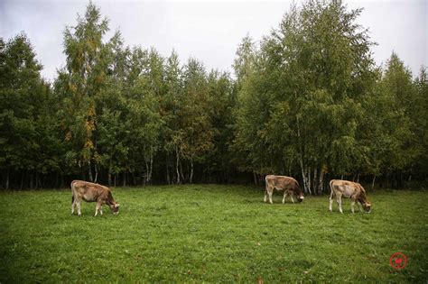 Több tízezer kisgazda maradhat le agrártámogatásokról Nyílt levélben