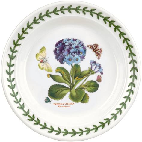 Portmeirion Botanic Garden Side Plate Set Of Scott S Of Stow