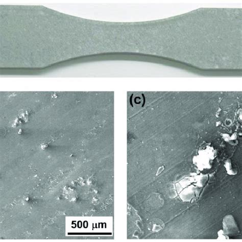 Surface Morphologies Of The 7085 T7452 Aluminum Alloy Specimen Exposed