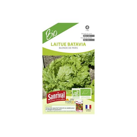 Semences De Laitue Batavia Blonde De Paris Bio Sanrival Sur Mymaisoon Fr