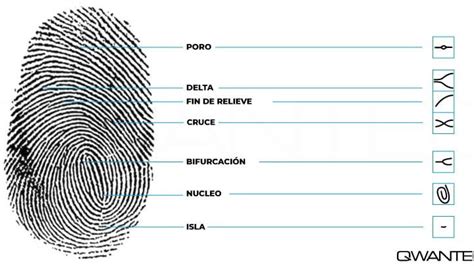 Ejemplos De Huellas Digitales La Identidad Digital En La Era Tecnol Gica