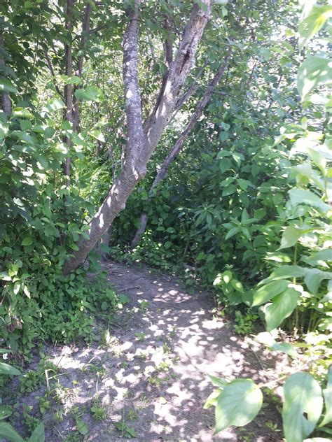 The George St Playhouse New Brunswick secret for cheap tickets 1