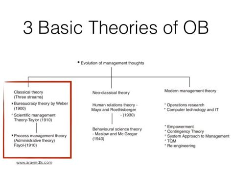 Organisational Behaviour Theories And Principles