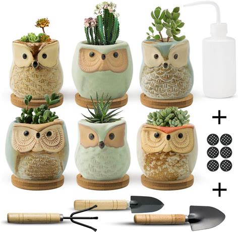 Amazon Fairylavie Succulent Pots Owl Planter Owl Pot