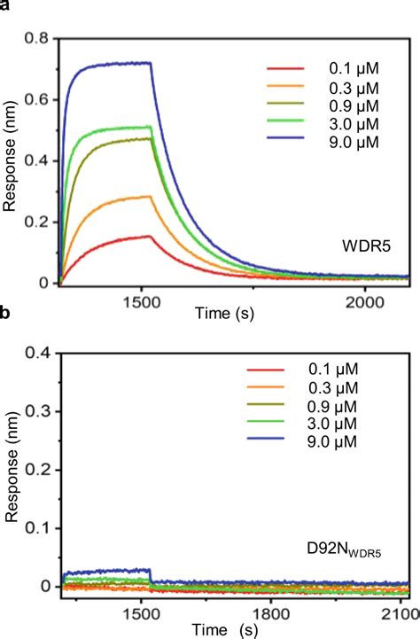 Biolayer Interferometry Bli Sensorgrams Of Mll4win Wdr5 Download