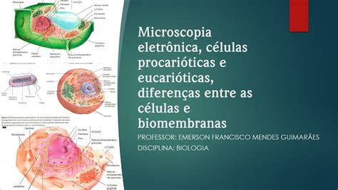 Microscopia eletrônica Célula procariótica e eucariótica diferenças