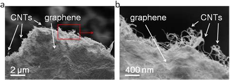 SEM Images Of A Graphene CNT Aerogel A Lower Magnification B