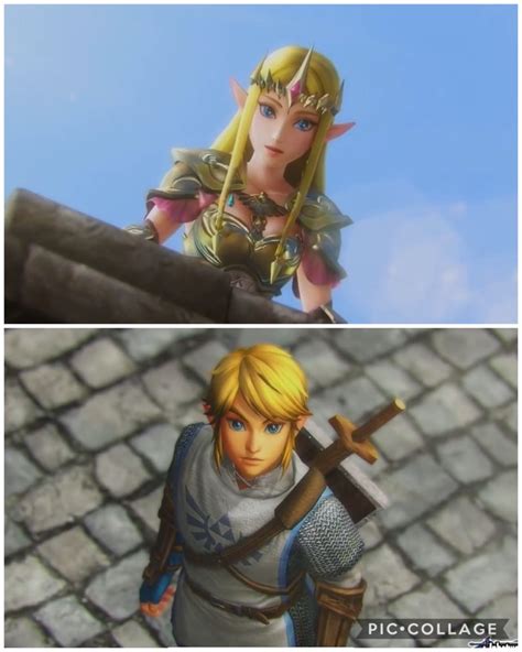 Zelink Hyrule Warriors | Hyrule warriors, Zelda hyrule warriors, Legend ...