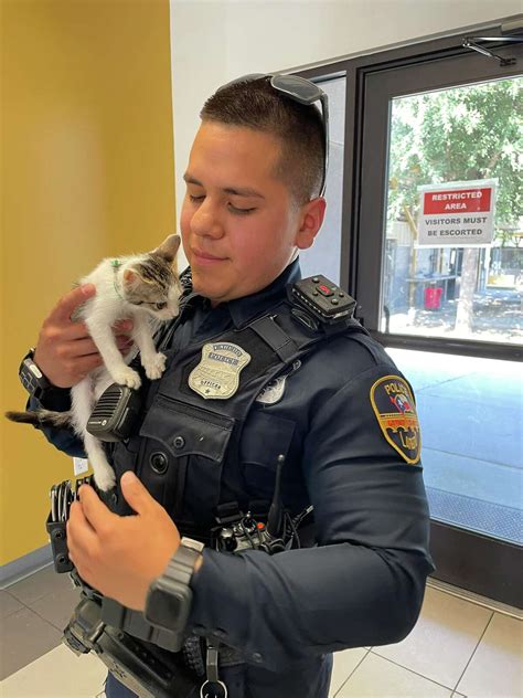 Laredo Pets For Sale at Rory Love blog