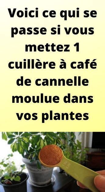 Voici Ce Qui Se Passe Si Vous Versez Du Vinaigre Sur Les Plantes Artofit