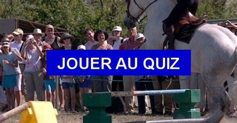 Quiz Un Peu De Tout Sur Les Chevaux Equitation