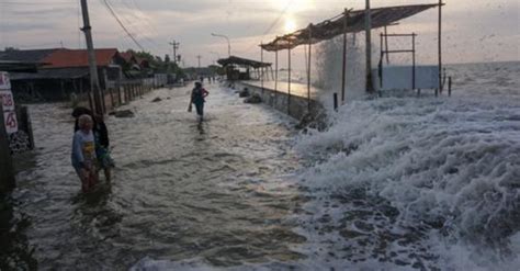 Sembilan Kelurahan Di Kota Pekalongan Terendam Rob Warta Desa