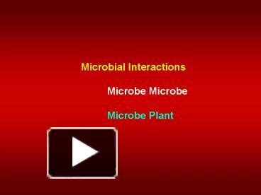 Ppt Microbial Interactions Powerpoint Presentation Free To View