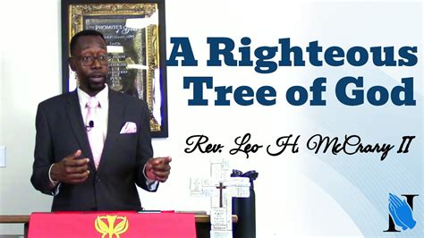 A Righteous Tree Of God Sermon Rev Leo H Mccrary Ii Youtube