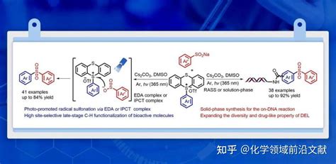 中山大学鄢明张学景课题组：芳烃的自由基c H砜基化反应及其在生物活性分子和dna编码分子中的应用 知乎