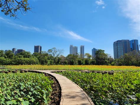 สายดอกไมหามพลาด ทานตะวนบานกลางกรง สวนรถไฟ