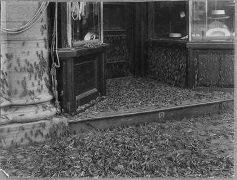 Grasshopper Swarms Dust Bowl