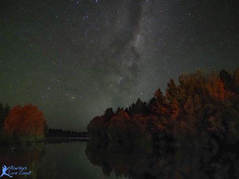 Experience The Best Start Gazing in Lake Tekapo - Always Live Loud