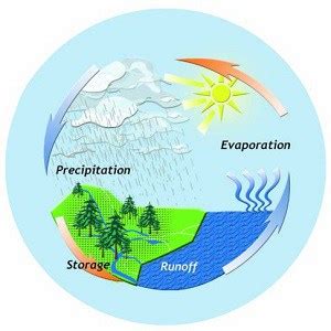 10 Water Cycle Facts - Nature, Science, Experiments & More - Facts.net