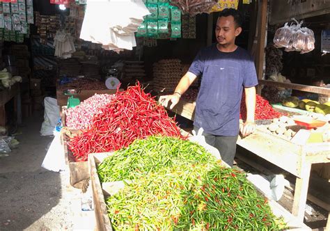 Harga Sejumlah Bumbu Dapur Turun Di Aceh Barat Cabai Merah Jadi Rp 20