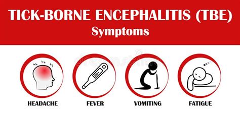 Tick-borne Encephalitis Symptoms, Flat Style Vector Illustration Isolated on White Background ...