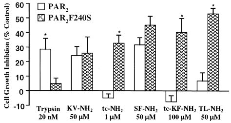 A Polymorphic Protease Activated Receptor 2 Par2 Displaying Reduced