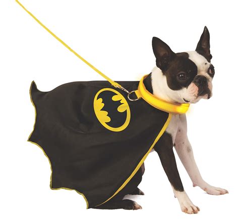 Arriba Imagen Antifaz De Batman Para Perro Abzlocal Mx