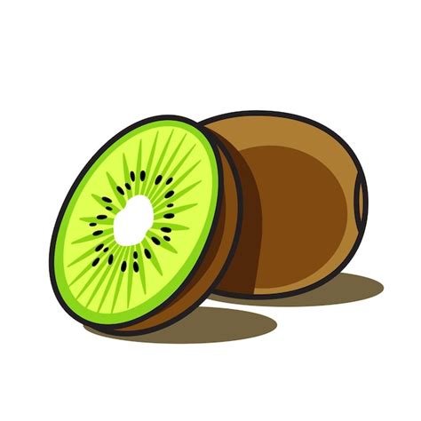 Premium Vector Kiwi Fruit Illustration Vector Design