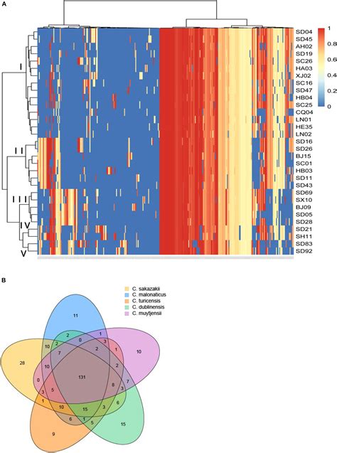 Frontiers Genomic Analysis Of Putative Virulence Factors Affecting