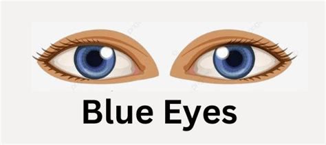 Personality Test Your Eye Colour Reveals Your Hidden Personality Traits