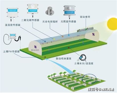 智慧大棚解决方案系统