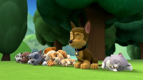 Marshallgallerypups Save A Train Paw Patrol Wiki Fandom Powered