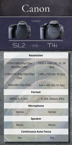 7 Best Canon Camera Comparison Infographic ideas | canon camera ...